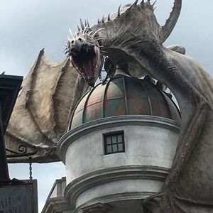 Meet your Posher, Bernarda